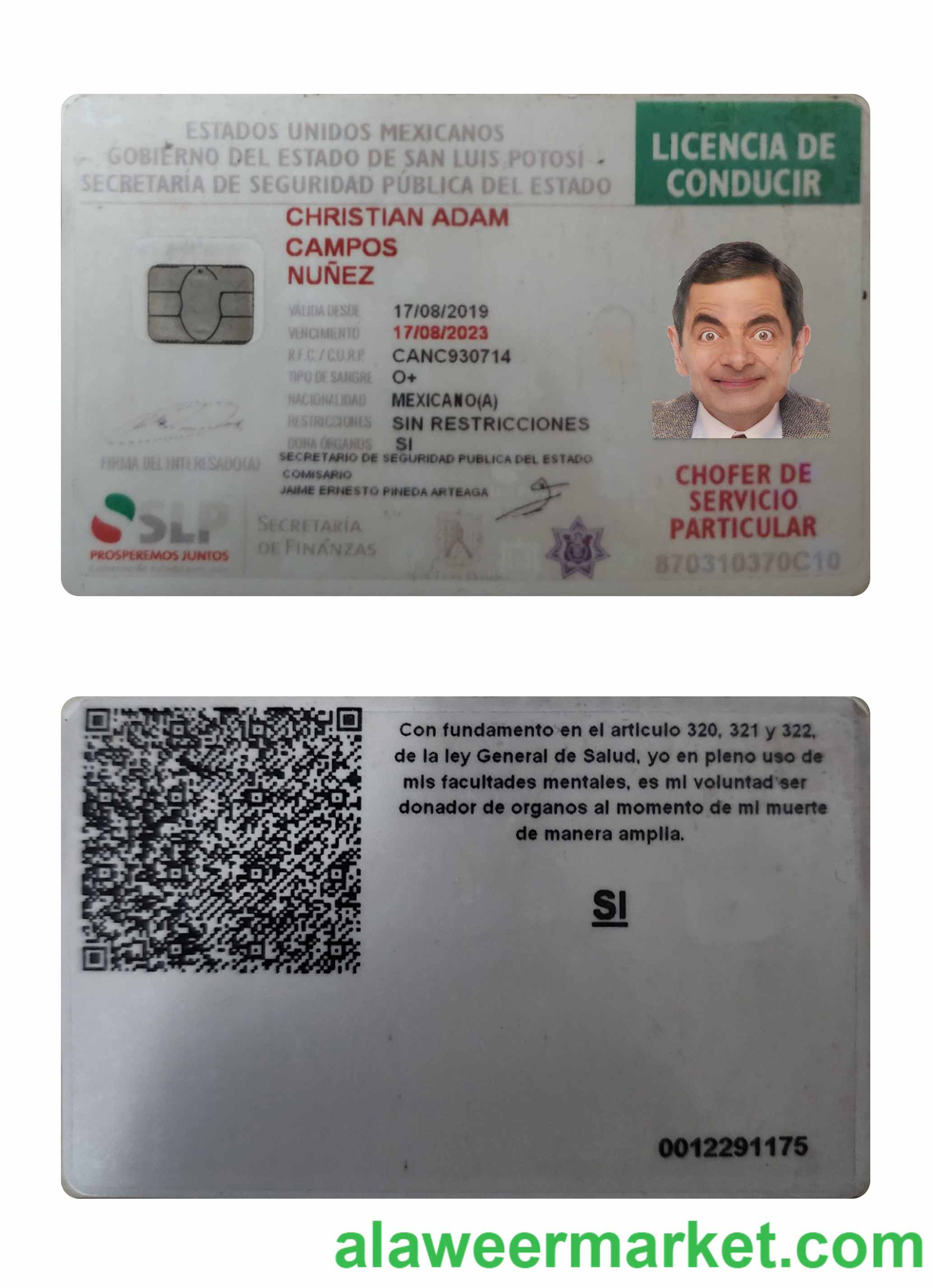 Mexico driving license 2019-present